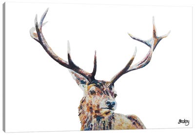 Nigel Canvas Art Print - Deer Art