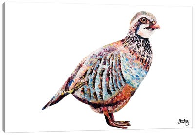 Partridge Canvas Art Print - Becksy