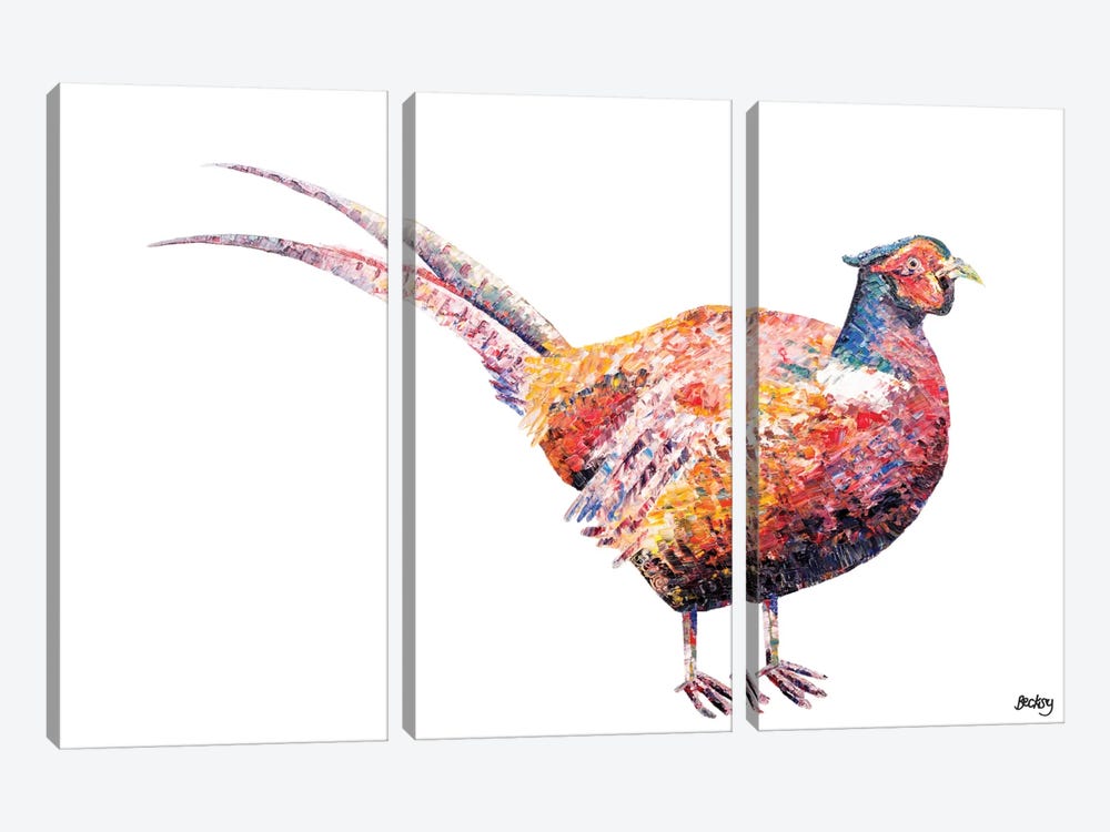 Pheasant 3-piece Canvas Art Print