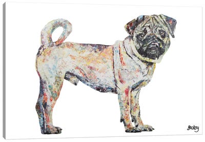 Pug Canvas Art Print - Becksy
