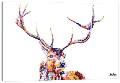 Red Stag Canvas Art Print - Becksy