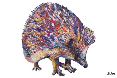 Porcupines