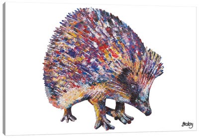 Sean Canvas Art Print - Porcupines