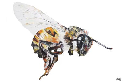 Bee by Becksy art print