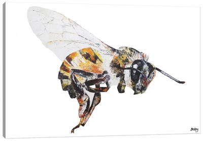 Bee Canvas Art Print - Bee Art