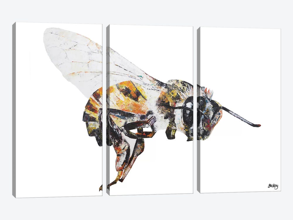 Bee by Becksy 3-piece Canvas Art