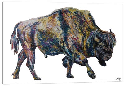 Buffalo Canvas Art Print - Becksy