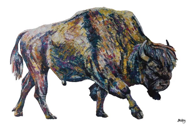 Bison & Buffaloes: Buffalo by Becksy