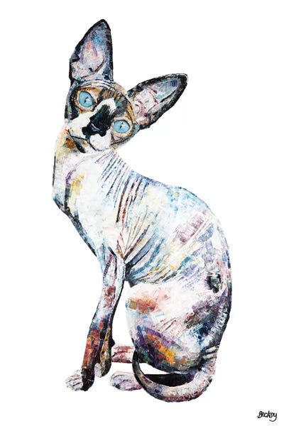 Hairless Cats: Larry by Becksy