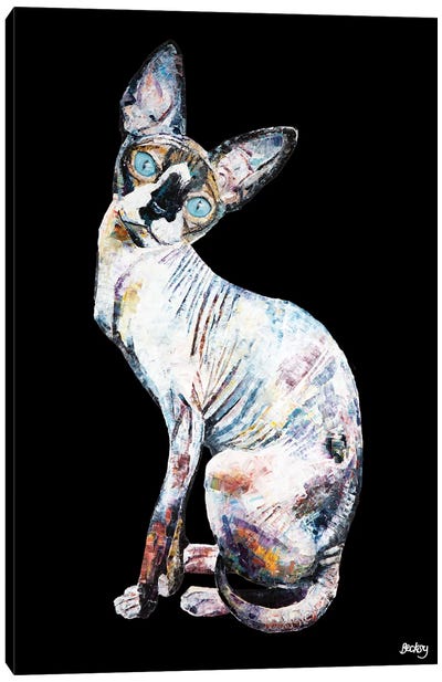 Larry, Black Background Canvas Art Print - Hairless Cats