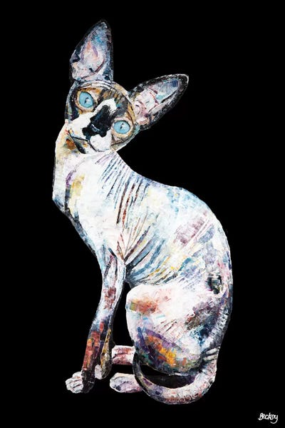 Hairless Cats: Larry, Black Background by Becksy