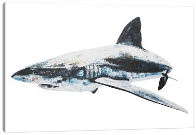 Bruce Canvas Art Print - Shark Art
