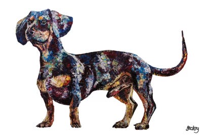 Dachshund by Becksy metal wall art