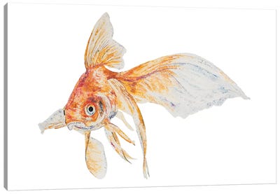 Chip Canvas Art Print - Goldfish Art