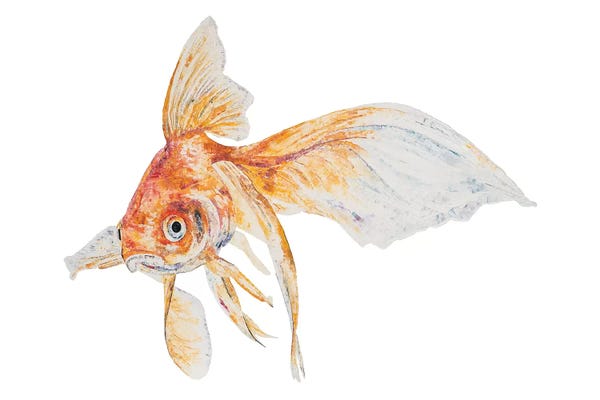 Goldfish: Chip by Becksy