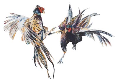 Fighting Pheasant Cocks by Becksy art print