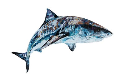 Tigershark by Becksy art print
