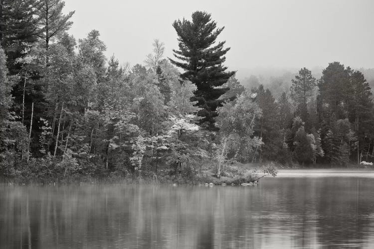 Little Island, Fortune Lake, Bewabic State Park, Iron County, Upper Peninsula, Michigan, USA