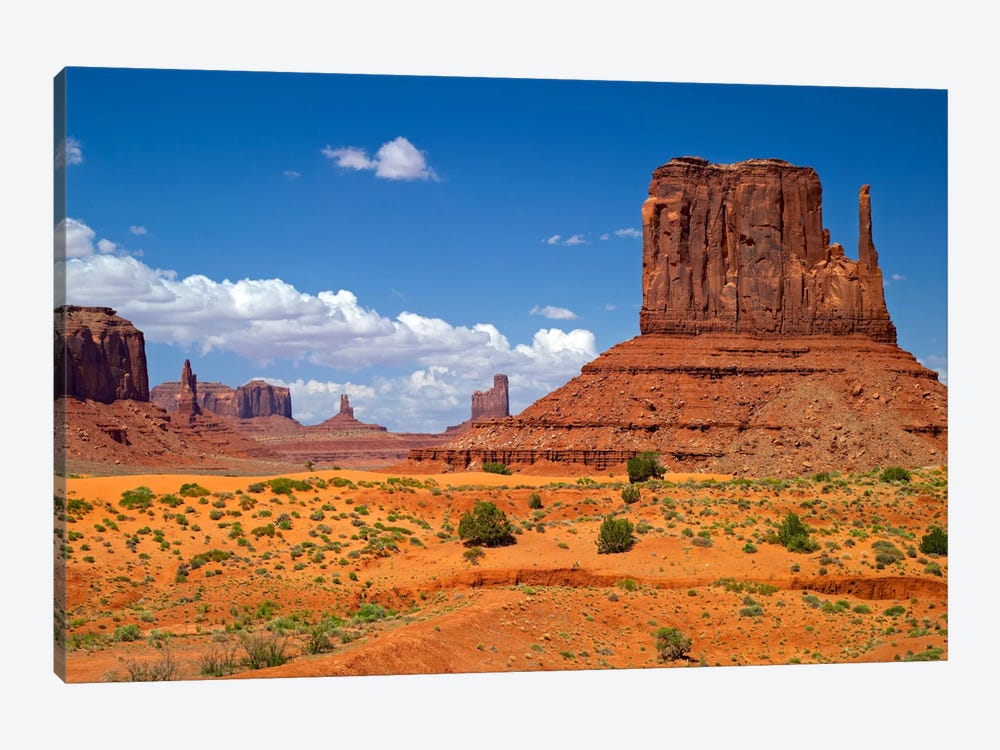 West Mitten Butte, Monument Valley, Navajo Nation, Arizona, USA by Petr Bednarik 1-piece Canvas Artwork