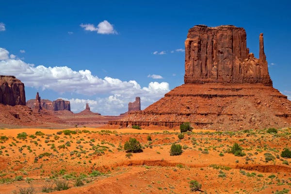 Arizona: West Mitten Butte, Monument Valley, Navajo Nation, Arizona, USA by Petr Bednarik