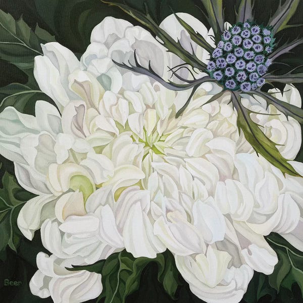 Chrysanthemums: Chrysanthemum With Christmas Thistle by Jo Beer
