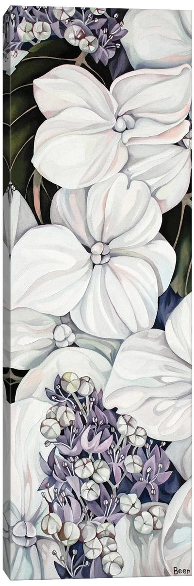 Hydrangea Canvas Art Print - Similar to Georgia O'Keeffe