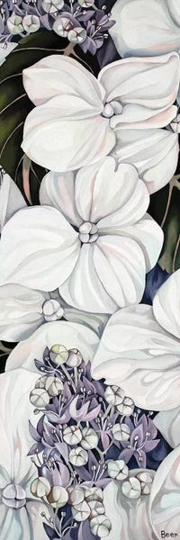 Jo Beer: Hydrangea by Jo Beer