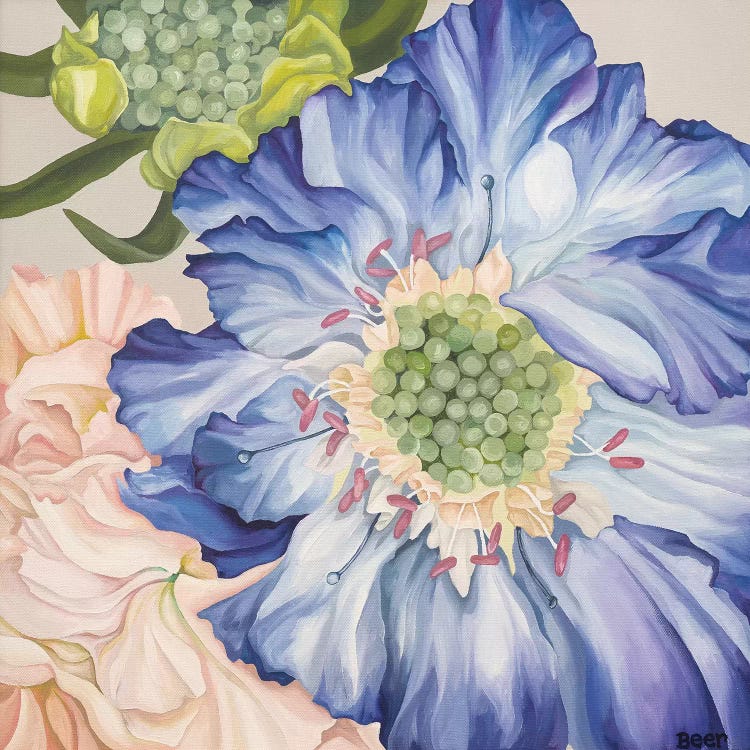 Scaboius And Pinks by Jo Beer wall art