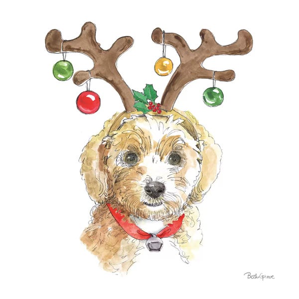 Christmas Animals: Holiday Paws VI on White by Beth Grove