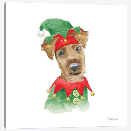 Holiday Paws VII on White Canvas Print #BEG138} by Beth Grove Canvas Print