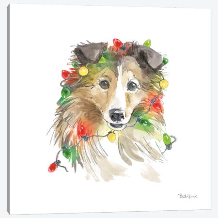 Holiday Paws IX on White Canvas Print #BEG140} by Beth Grove Canvas Artwork