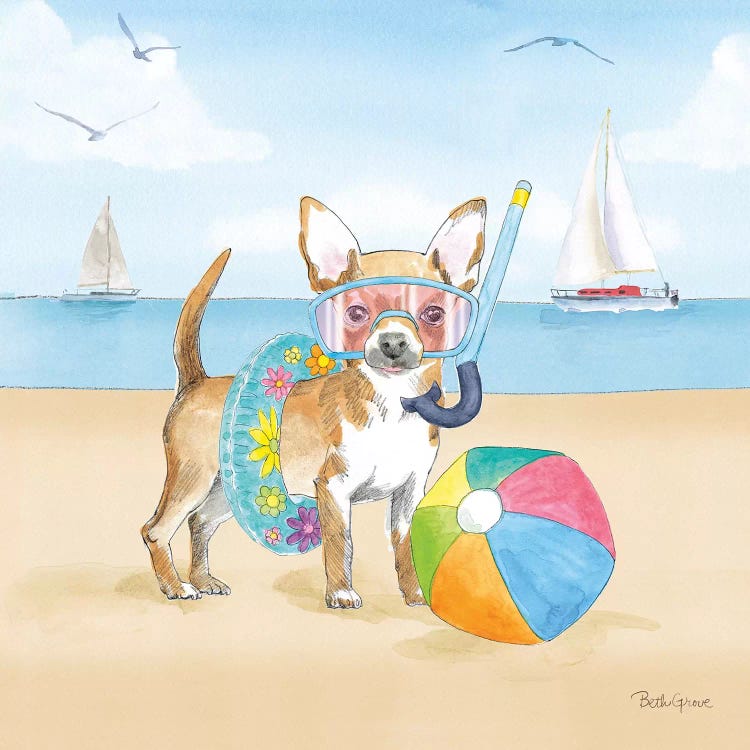 Summer Paws II No Words by Beth Grove wall art