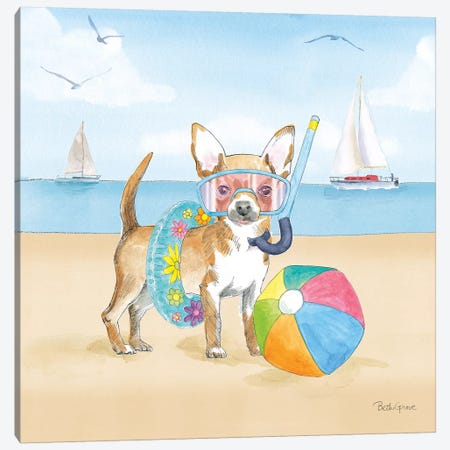 Summer Paws II No Words Canvas Print #BEG149} by Beth Grove Canvas Artwork