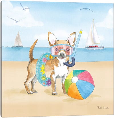 Summer Paws II No Words Canvas Art Print - Chihuahua Art