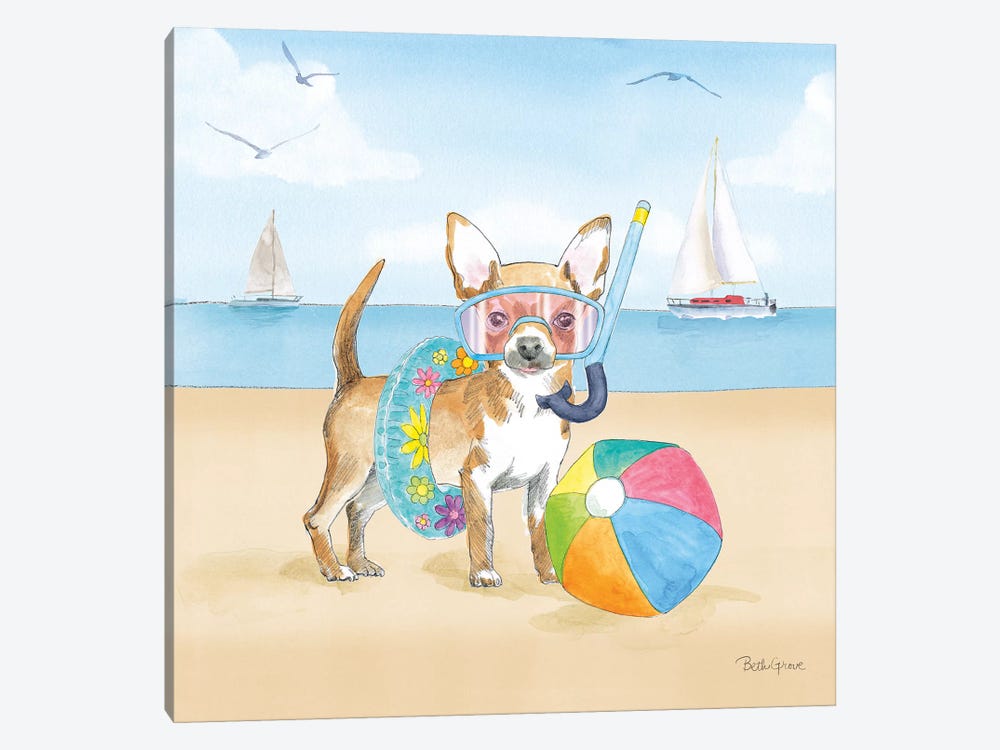 Summer Paws II No Words by Beth Grove 1-piece Canvas Art Print