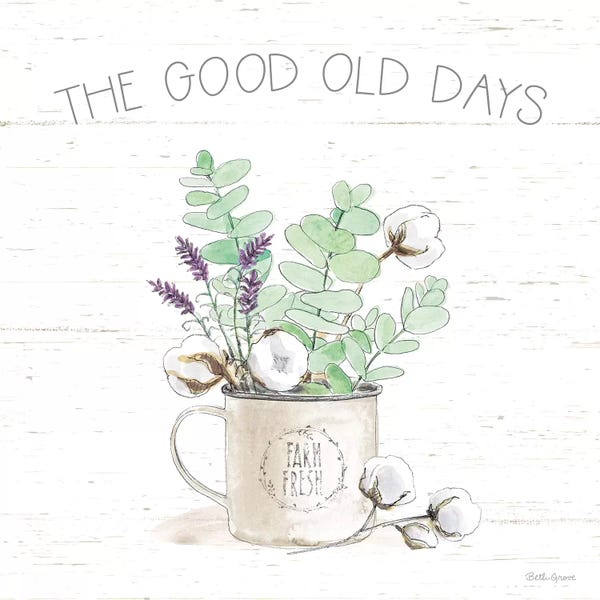 Modern Farmhouse Décor: Farmhouse Cotton III Sage by Beth Grove