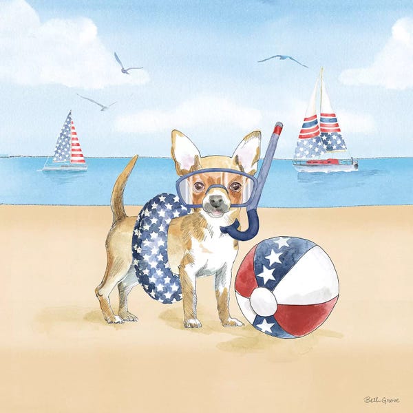 American Décor: Summer Paws Patriotic II by Beth Grove