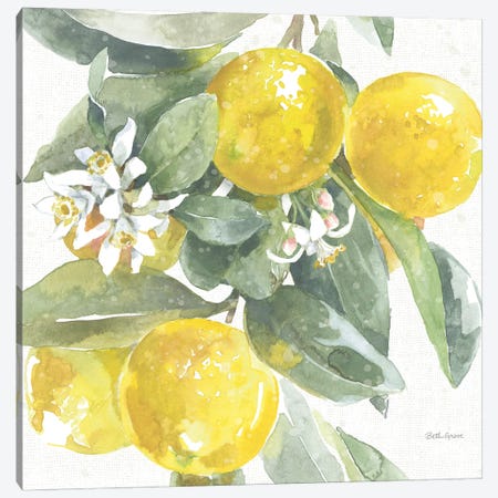 Citrus Charm Lemons I Canvas Print #BEG213} by Beth Grove Canvas Wall Art