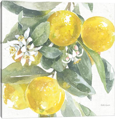 Citrus Charm Lemons I Canvas Art Print - Beth Grove