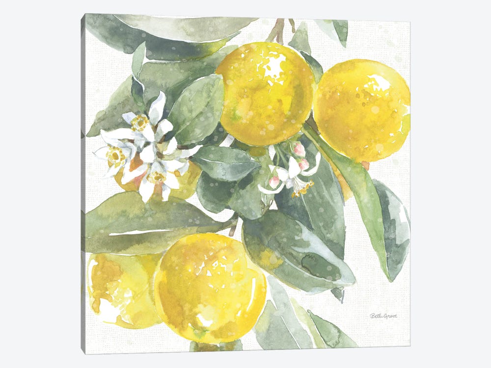 Citrus Charm Lemons I by Beth Grove 1-piece Canvas Artwork