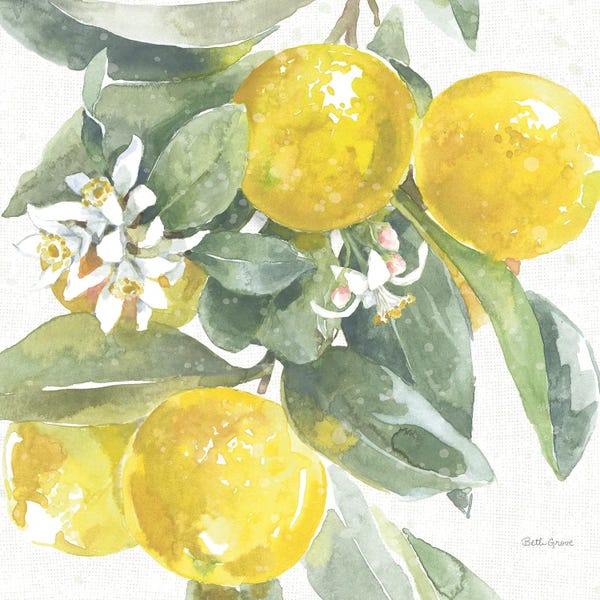 Beth Grove: Citrus Charm Lemons I by Beth Grove