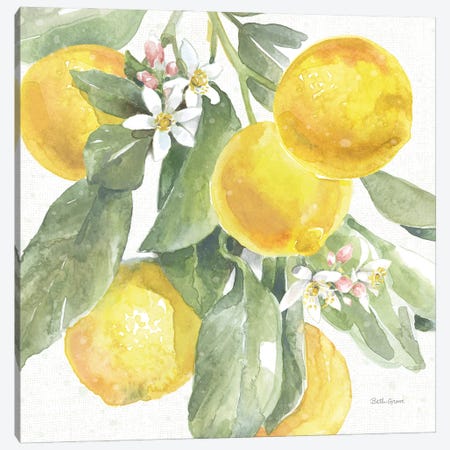 Citrus Charm Lemons II Canvas Print #BEG214} by Beth Grove Canvas Print