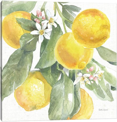 Citrus Charm Lemons II Canvas Art Print - Lemon & Lime Art