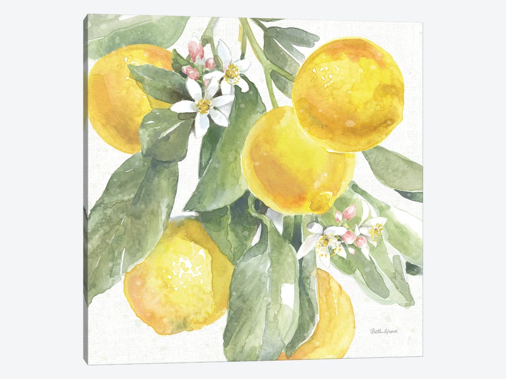 Citrus Charm Lemons II by Beth Grove 1-piece Canvas Art Print