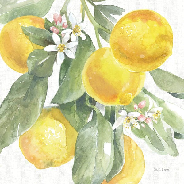 Beth Grove: Citrus Charm Lemons II by Beth Grove