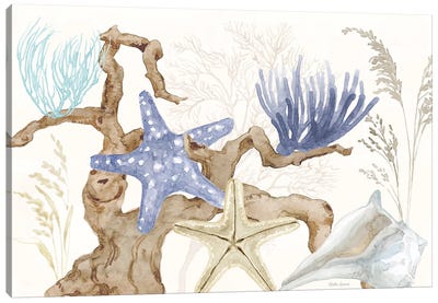 Soft Shores I Canvas Art Print - Starfish Art