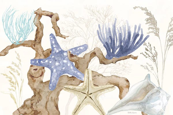 Starfish: Soft Shores I by Beth Grove