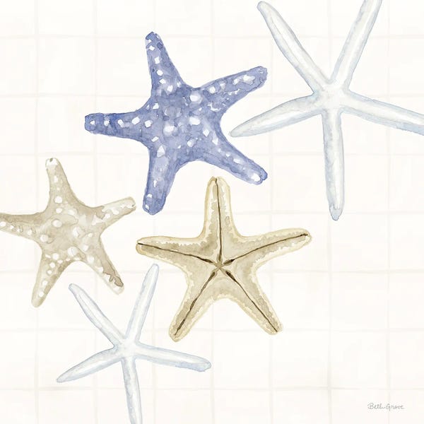 Starfish: Soft Shores IV by Beth Grove