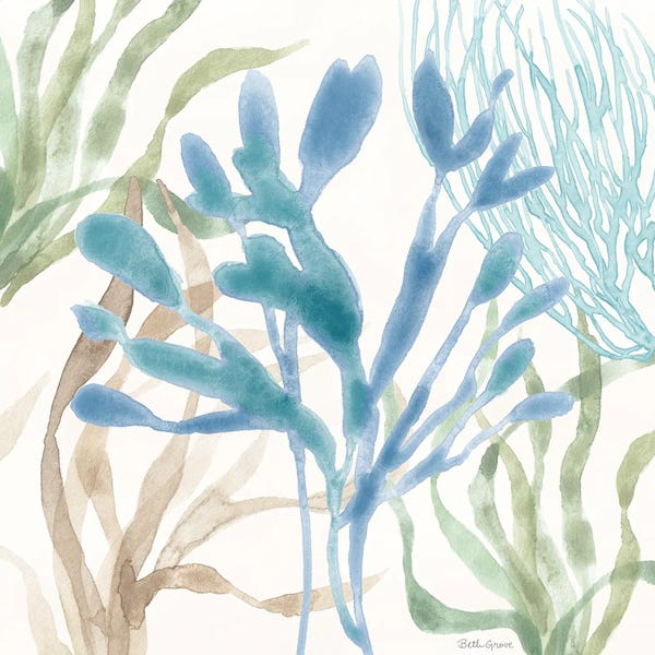 Coral: Soft Shores IX by Beth Grove