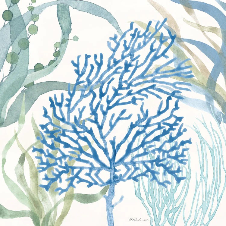 Soft Shores VI